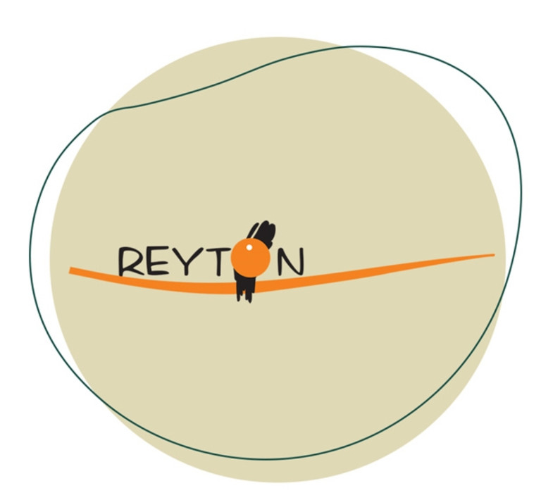 برند ریتون Reyton | رنگ مو و محصولات مراقبت مو