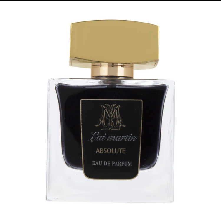 "ادو پرفیوم مردانه ونت دست مدل Absolute m"